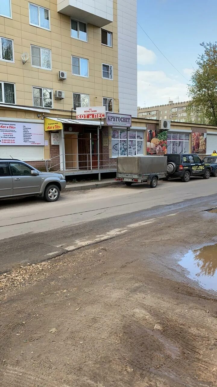 кстово пр рачкова 17. кот и пес кстово. рассказ олега бондаренко про кота и ангела. ветеринарная клиника кстово 3 микрорайон. кот и пес кстово.