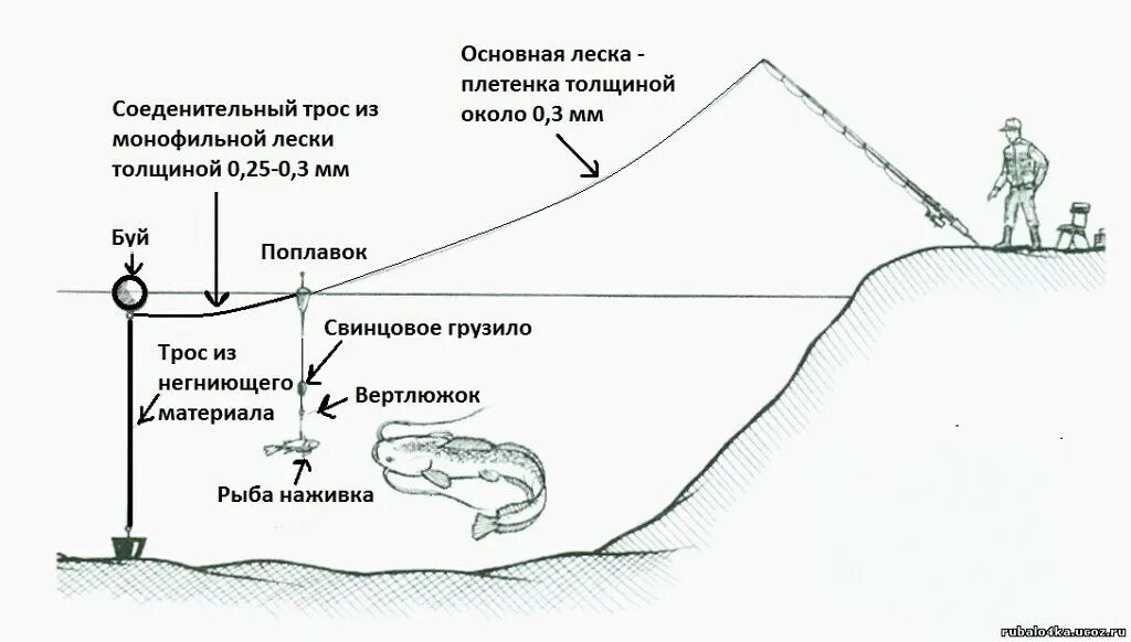 Сколько часов у донка. Схема донной снасти на сома. Монтаж оснастки на сома. Схема снасти на сома с берега. Оснастка на сома для донки.