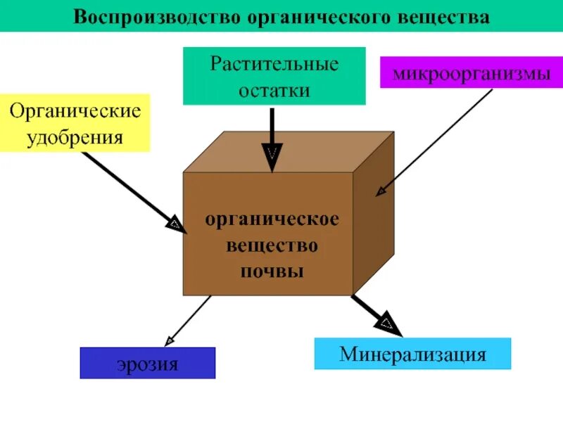 Воспроизводство плодородия почвы. Способы воспроизводства плодородия почвы. Простое и расширенное плодородие почвы.. Методы и приемы воспроизводства плодородия почв.