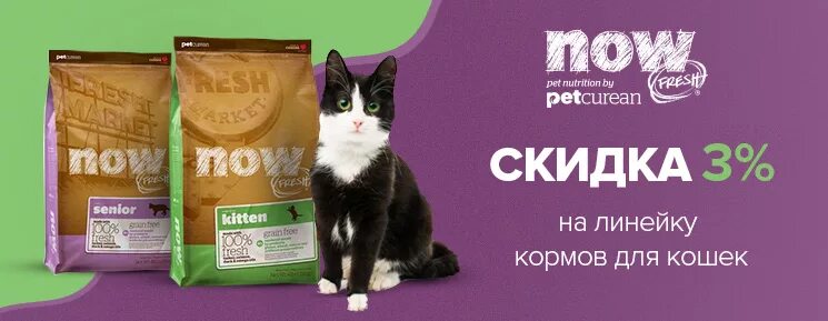 Now корм для кошек. НАУ для кошек. Now natural для кошек. Petcurean Pet Nutrition корма для кошек. My cat now