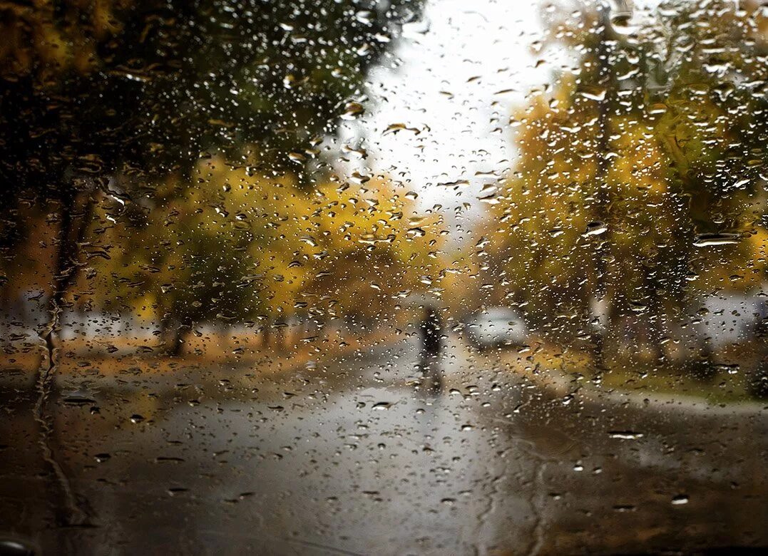 Осенний дождь. Дождливый день. Дождливая осень. Дождь осенью.