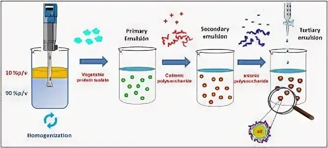 Emulsion перевод на русский. Emulsion перевод на русский