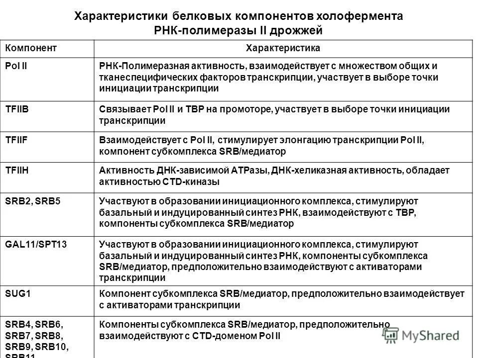 Цикл транскрипции