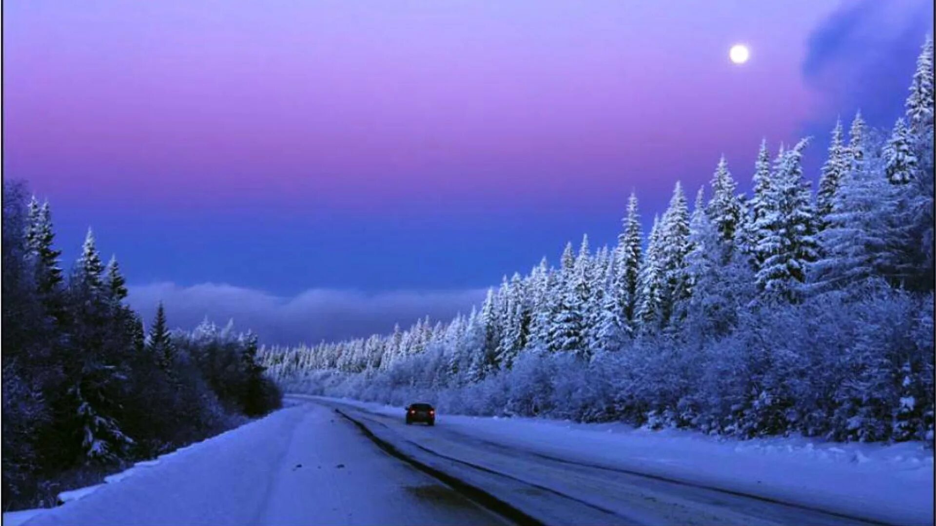 Сон дорога снег. Снежная дорога. Зимний лес ночью. Зима дорога. Зимняя ночь.