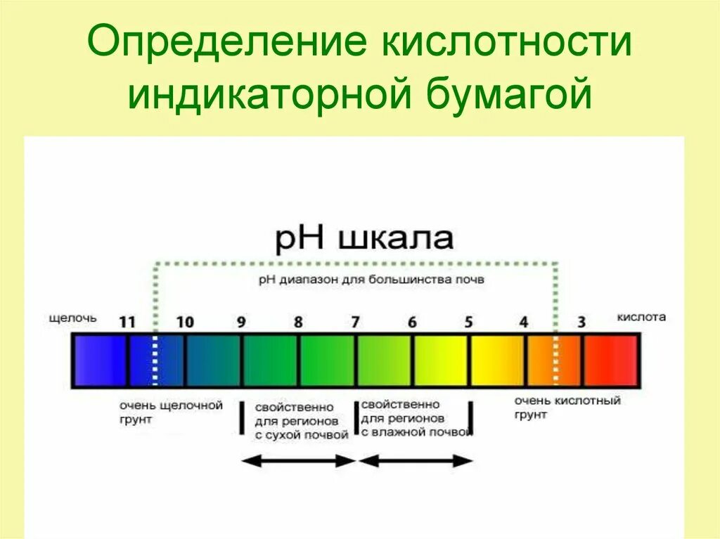 В какой среде проявляют. Кислотность почвы 2.5-3.5. РН шкала кислотности и щелочности почвы. PH шкала кислотности лакмусовая бумага. 6,0 Кислотность почвы.