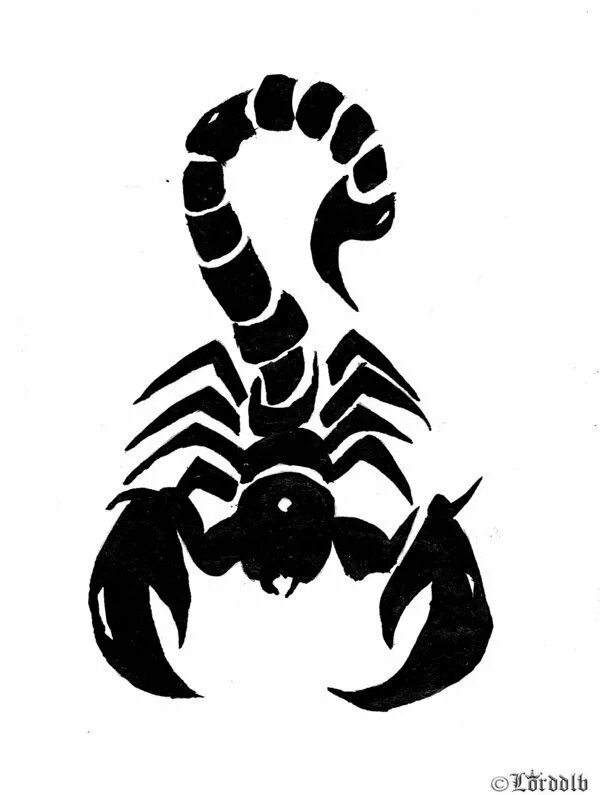 Scorpion white. Стилизованный Скорпион. Скорпион черно белый. Контурные тату Скорпион. Скорпион тату легкое.