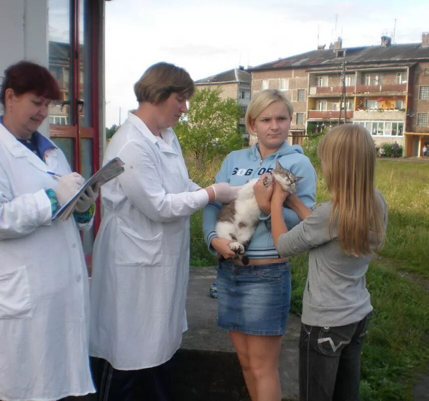 Сббж это. Гбув ко областная сббж калининград. станция по борьбе с болезнями животных калининградской области. ветеринарная клиника бежецк. борьба с болезнями животных.