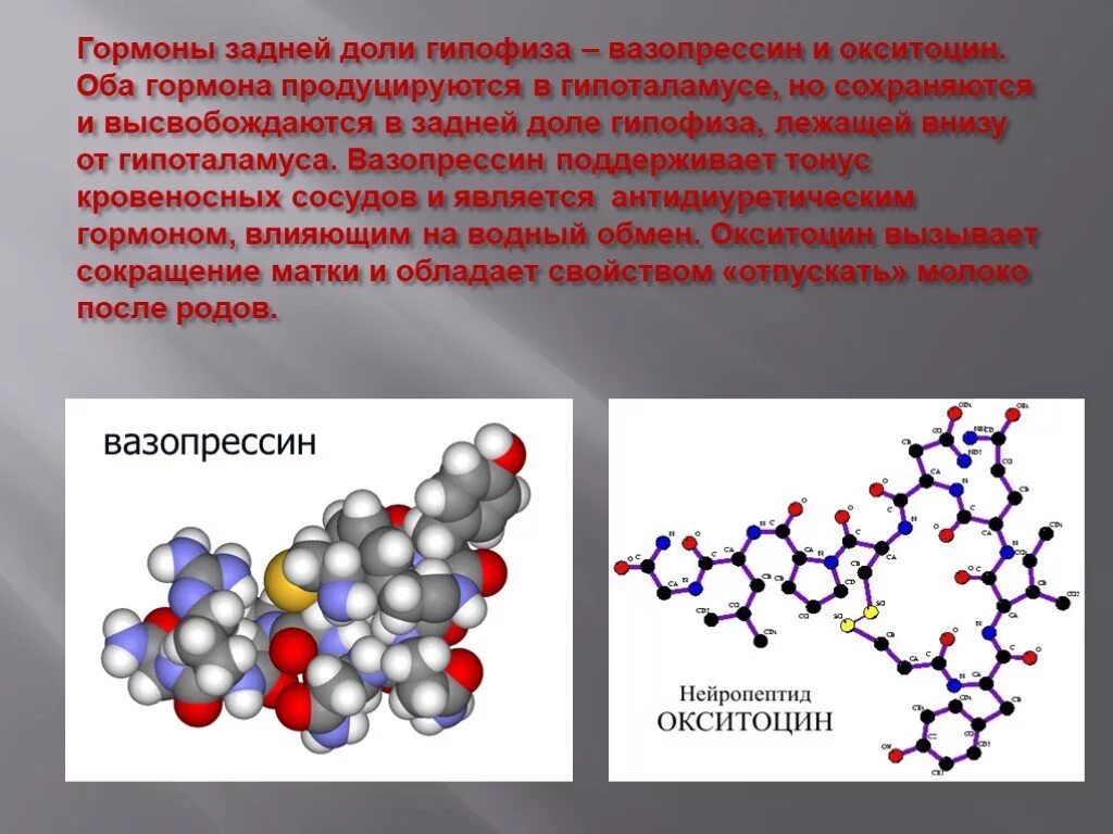 Вазопрессин гормон. Гормоны презентация. Гормоны химия презентация. Вазопрессин картинки.