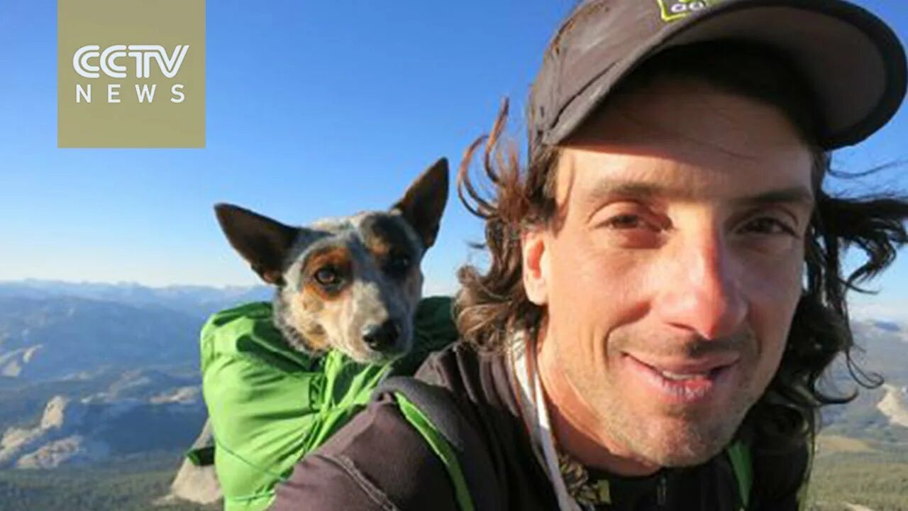 Robb p car. Yesterday at one o'clock. Dean potter. Timothy his dog now. Yesterday at one o'clock.