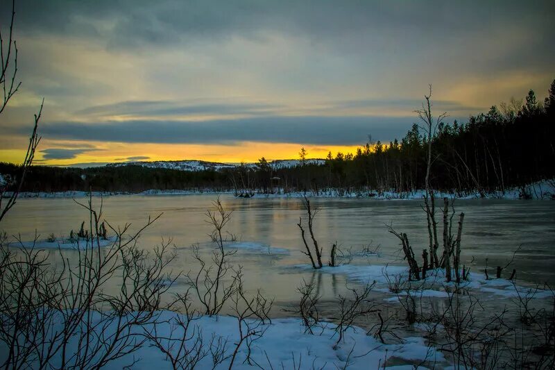 запись полярные зори. запись полярные зори. полярные зори апатиты. город полярные зори мурманской области. поликлиника полярные зори.