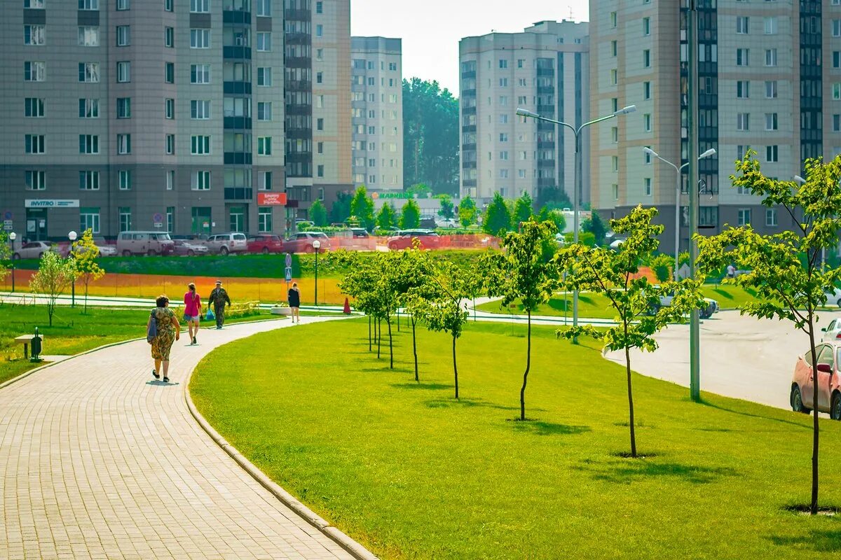 нск кольцово. стелла наукоград кольцово. наукоград кольцово. поселок кольцово наукоград. поселок кольцово наукоград.