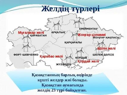 Украиндық әйелдің мысығы өте өсіп кеткен.