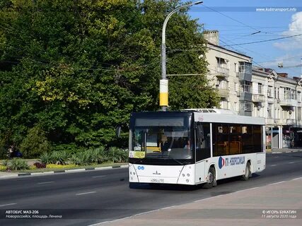 Автобус в новороссийск