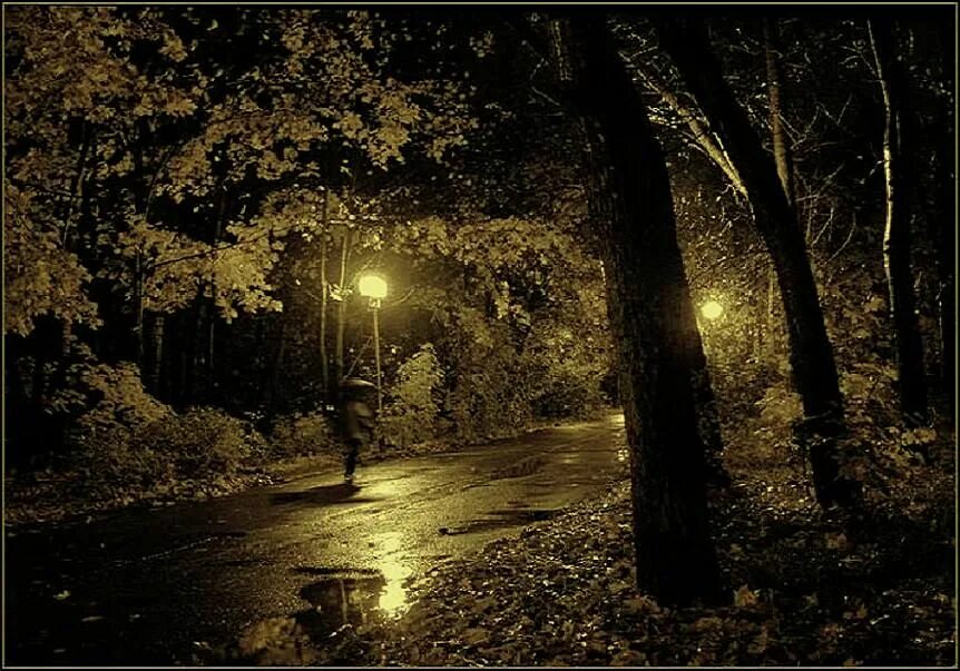 Есть в старом парке черный. Старый парк ночью. Старый парк вечер. Осень парк дождь ночь. Пейзаж ночью в парке.