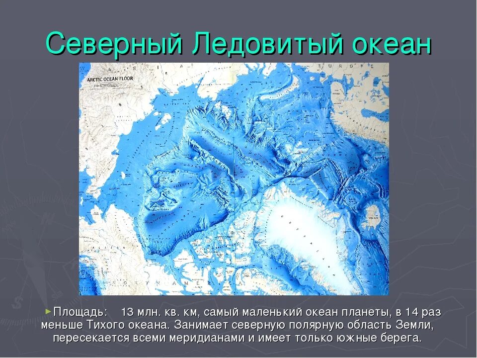 Рельеф дна Северного Ледовитого. Площадь Северного Ледовитого океана в млн. Рельеф дна Северного Ледовитого океана. Наибольшая глубина Северного Ледовитого океана. Экватор северно ледовитый океан