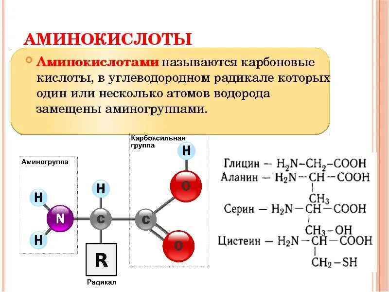 Амины являются соединениями. Аминокислоты названия. Какие соединения называют аминокислотами. Аминокислоты это. Какие соединения называют аминами.