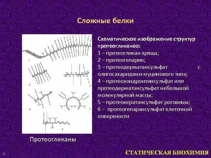 Фибриллярный белок структура. Фибриллярная структура коллагена. Аггрекан строение. Коллаген эластин межклеточный матрикс. Белки хрящей.