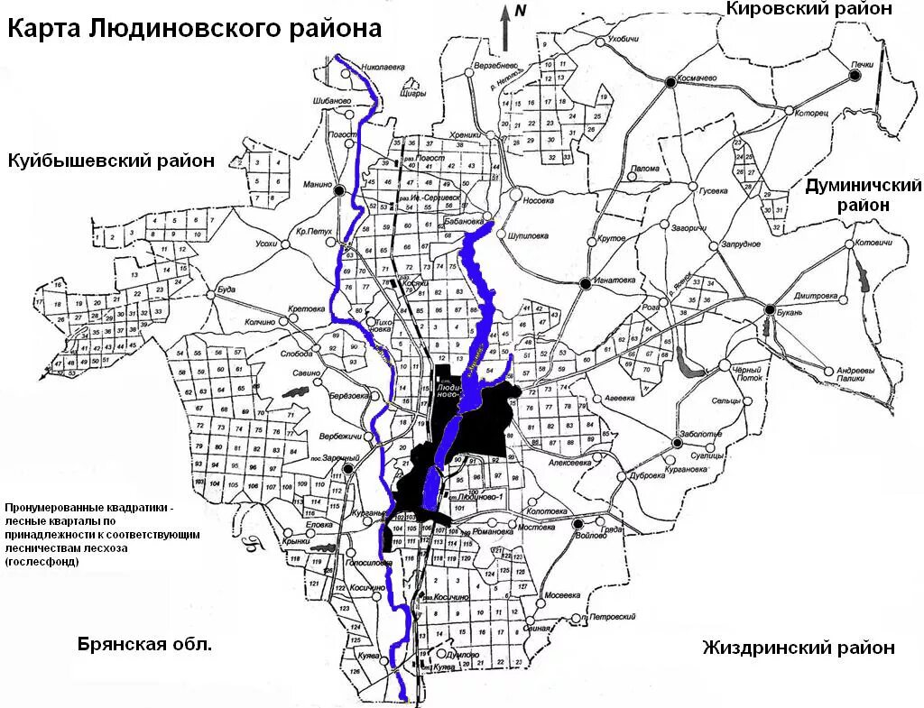 Рп5 людиново. Карта Людиновского района. Людиново Калужская область карта. Карта Людиново и Людиновский район. Людиновский район схема.