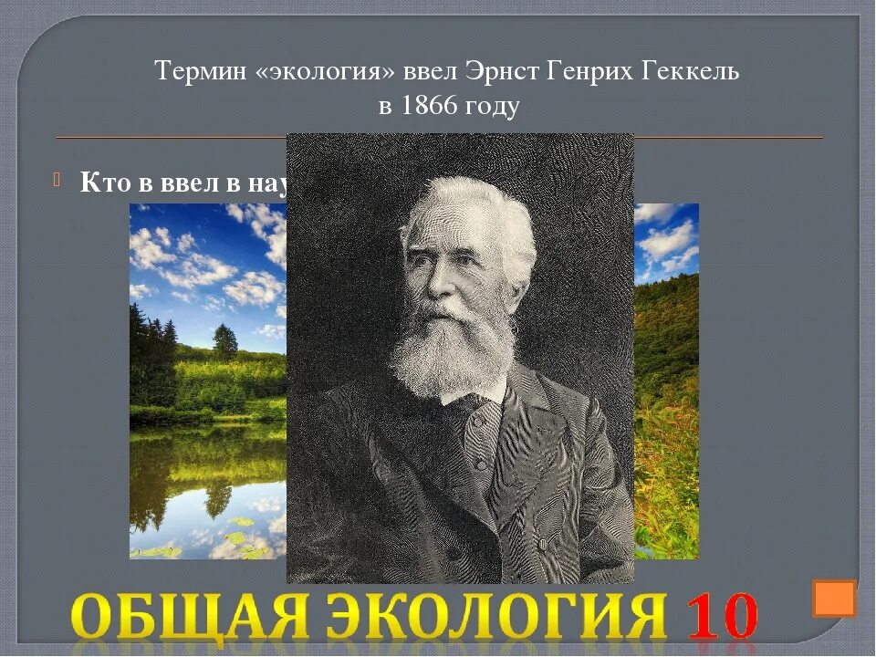 Термин экология ввел. Кто ввёл термин эколошия в науку. Понятие «экология» ввел:. Термин экология впервые ввел в науку.