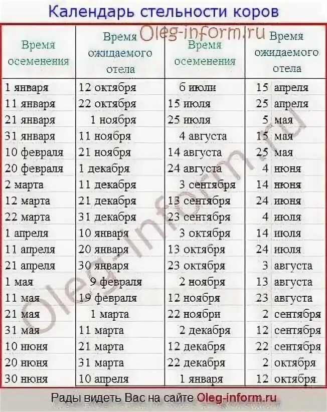 Через сколько будет 13 мая. Таблица стельности коров. Календарь стельности коров таблица. Таблица осеменения и отела коров даты. Календарь осеменения коров по дате таблица.