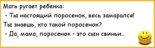 Славик мама не ругай. Анекдот свинья и сын. Анекдот про свинью. Анекдот про маму и свинью.