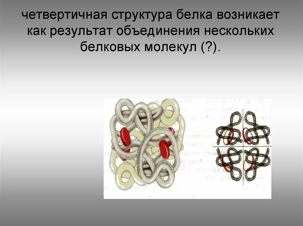 Четвертичная структура белков рисунок. Роль четвертичной структуры кооперативный эффект. Строение гема молекулы гемоглобина. Четвертичная структура белка. Четвертичная структура молекулы белка.