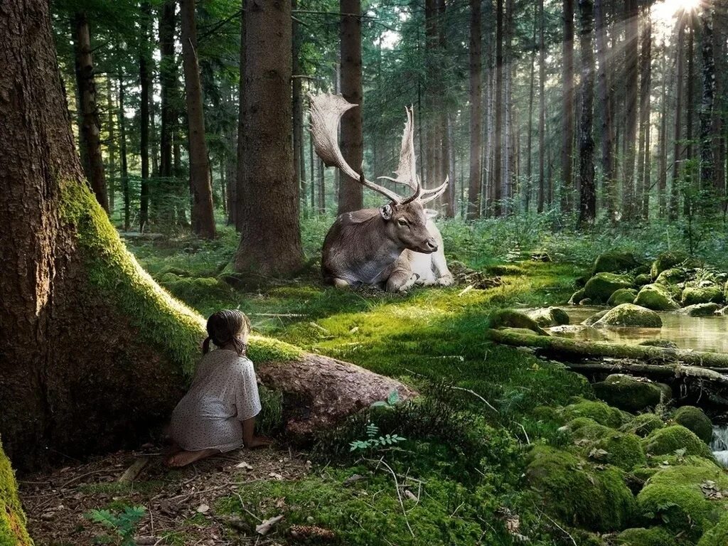 Летняя жизнь животных. «Зачарованный лес» («Enchanted Forest»). Сказочный лес. Волшебный лес. Сказочные жители леса.