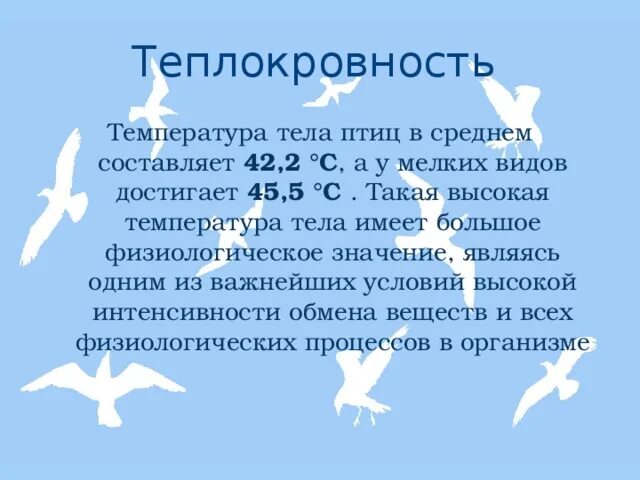 При низких температурах воздуха птицы. Температура тела птиц. Температура телп а птиц. Какая температура у птиц. Поддержание постоянной температуры тела у птиц.