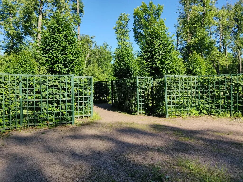 Лабиринт интернет магазин в спб. Лабиринт пункт выдачи. Лабиринт санкт петербург. Лабиринт пункт выдачи. Лабиринт санкт петербург.