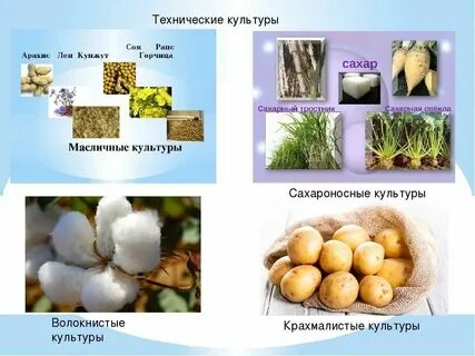 Что относится к техническим характеристикам