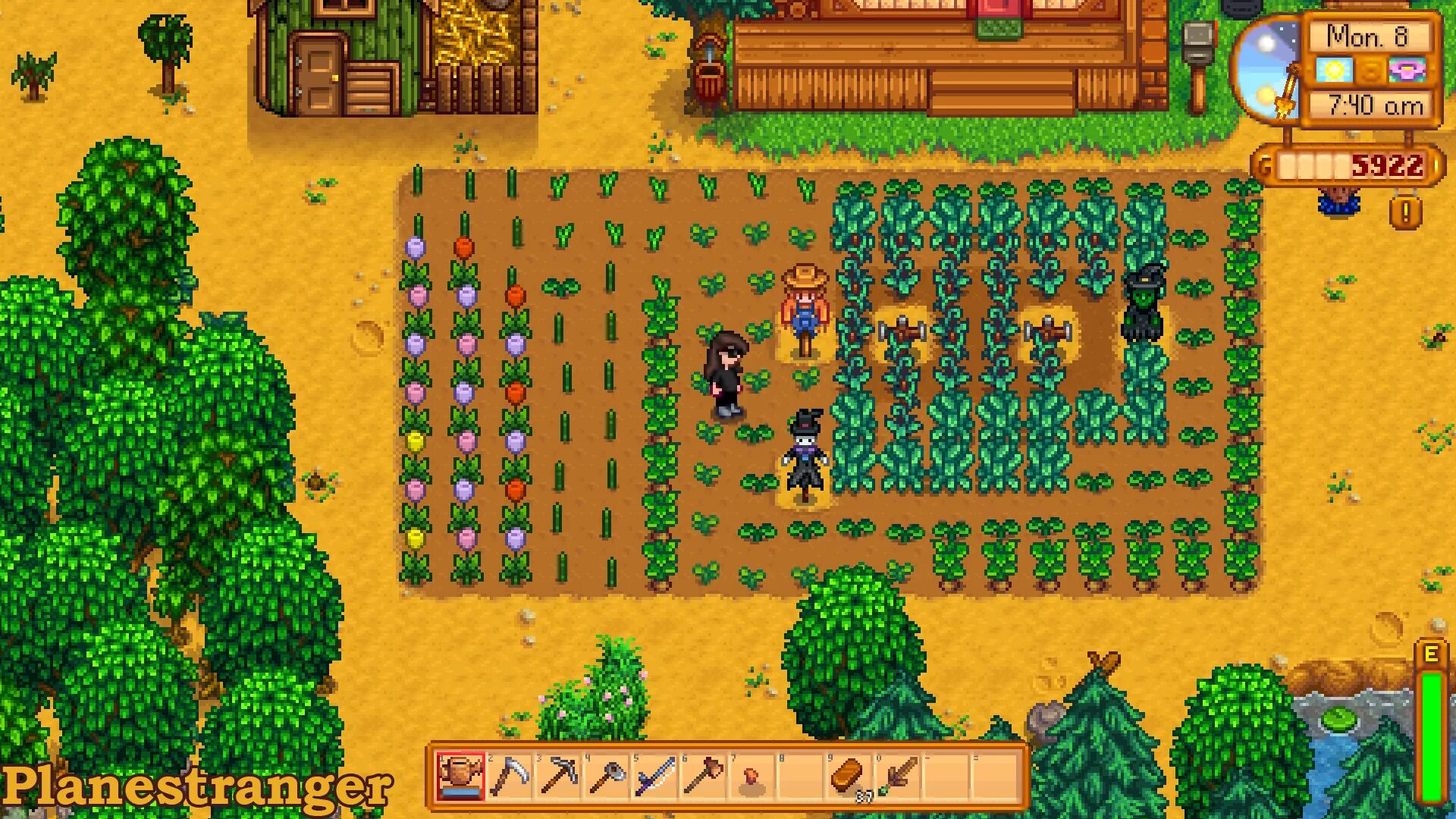 Стардью валлей шорты мэра. Мод Stardew Valley xtardew Valley. Stardew Valley сорняки. Блестящий булыжник Stardew Valley. Шорты мэра Стардью.