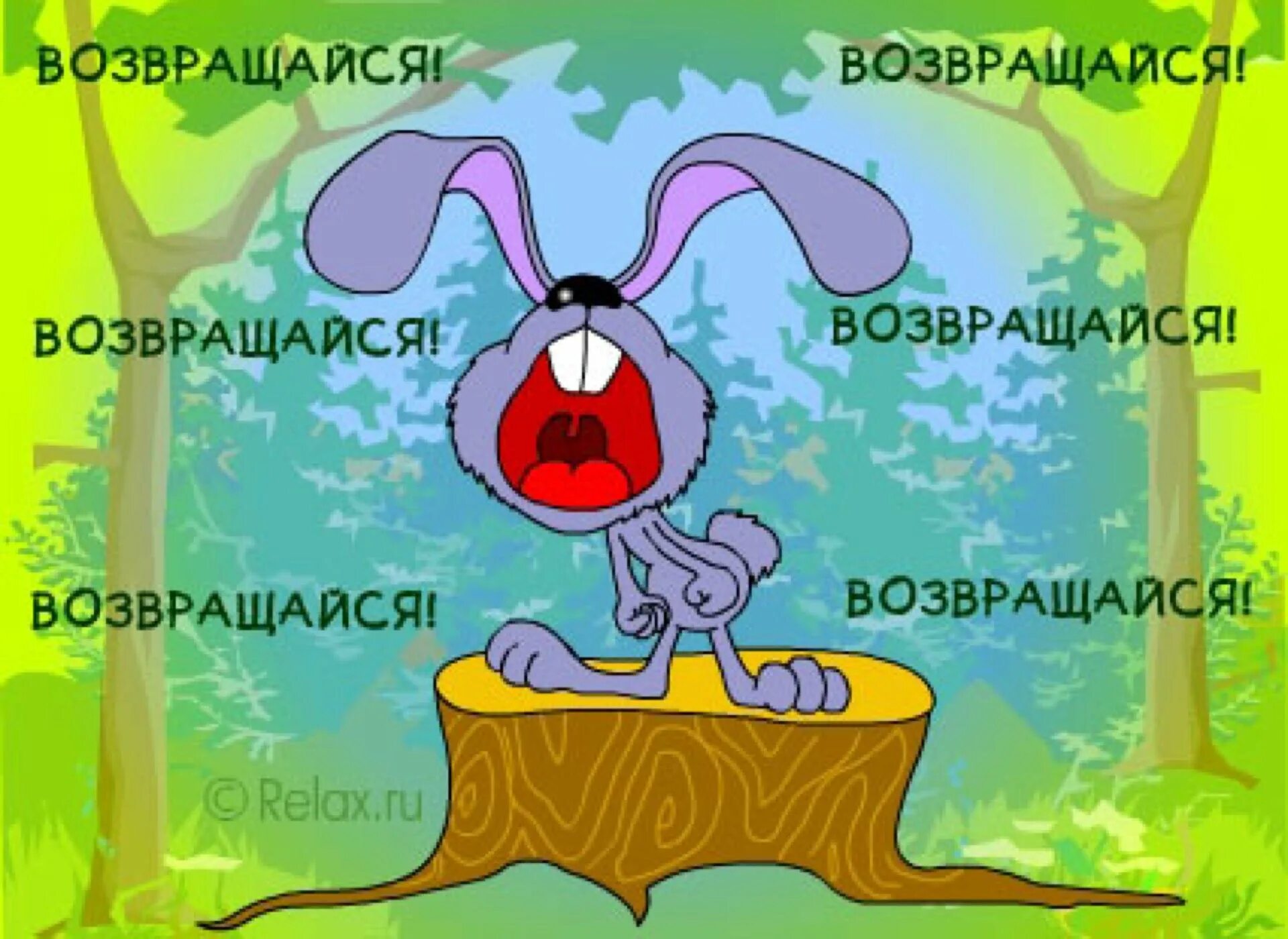 Ждем приезда