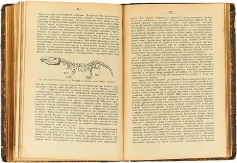 Потерянная история земли