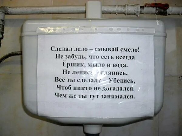 Мама зашла в туалет. Надпись туалет. Прикольные объявления в туалете. Смешные надписи в туалете. Объявление о смывании унитаза.