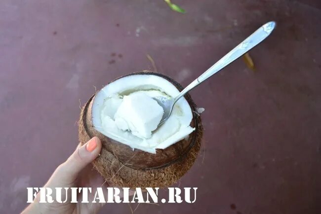 сердце ангела кокос. прорастить кокос. кокосовое яблочко. кокосовое яблоко. буа в кокосе.