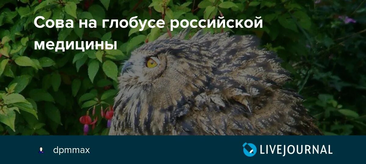 Выражение сова натянутая на глобус. Сова на глобусе. Натягивание Совы на Глобус. Сова на Глобус Мем. Натянуть сову на Глобус.
