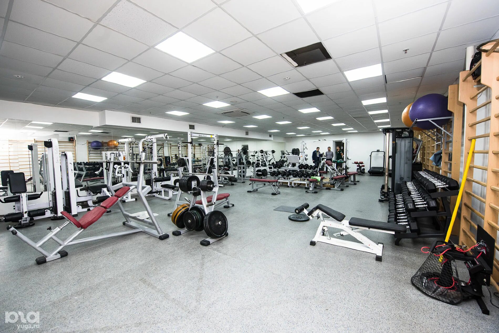 сити спорт москва логотип. кварц тренажерный зал. спорт сити тольятти. спорт сити сельмаш. спорт сити магазин.