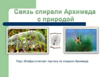 Паук плетет паутину это активность или деятельность