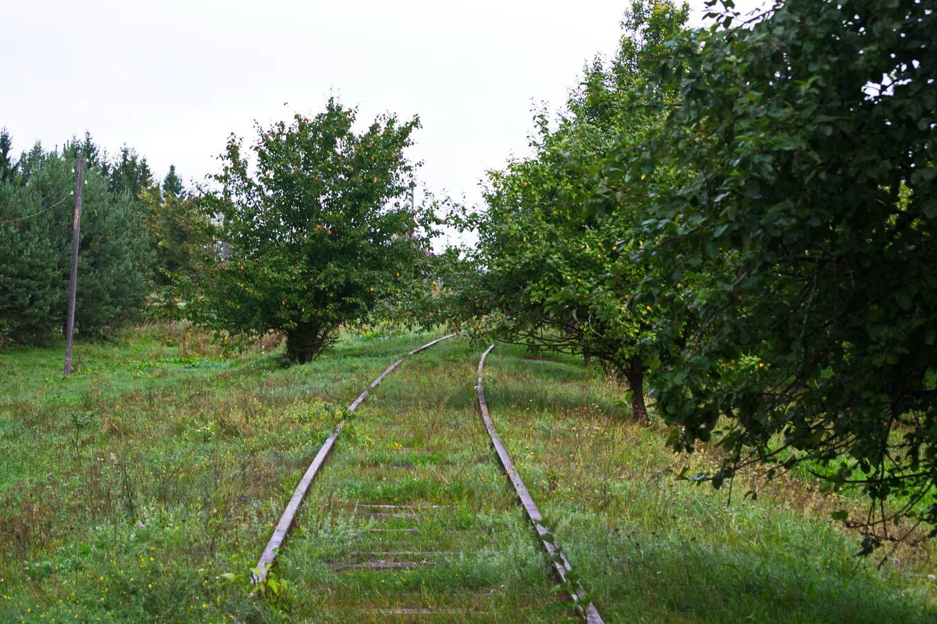 Фото пыталово псковской области. Пыталово. Пыталово достопримечательности. Пыталово Абрене. Пыталово Гулбене.