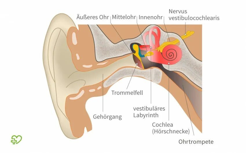 Внутренний отит (лабиринтит). Воспаление среднего уха (лабиринтит);. Воспаление внутреннего уха лабиринтит. Отит воспаление внутреннего уха.