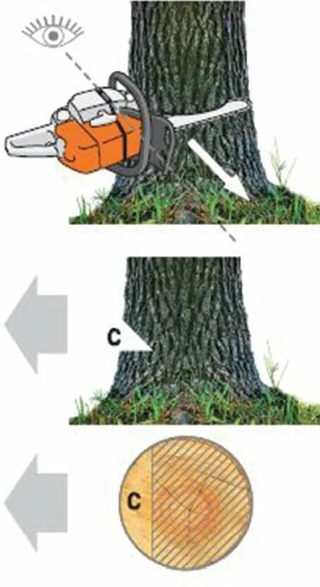 Спил деревьев как правильно. Бензопила разметка направления Валки деревьев. Схема спиливания дерева бензопилой. Технология Валки леса бензопилой. Подпил дерева при валке.