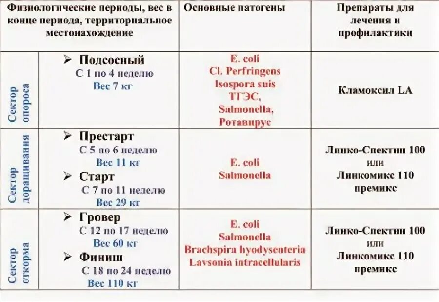 Сколько после глистогонки можно делать прививку. Схема вакцинации поросят. Схема вакцинации поросят с рождения. График прививок для свиней. График прививок для свиней таблица.