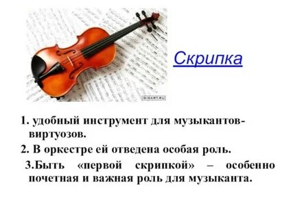 3 предложения о скрипке