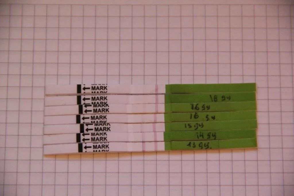 Как узнать на тесте беременна или нет