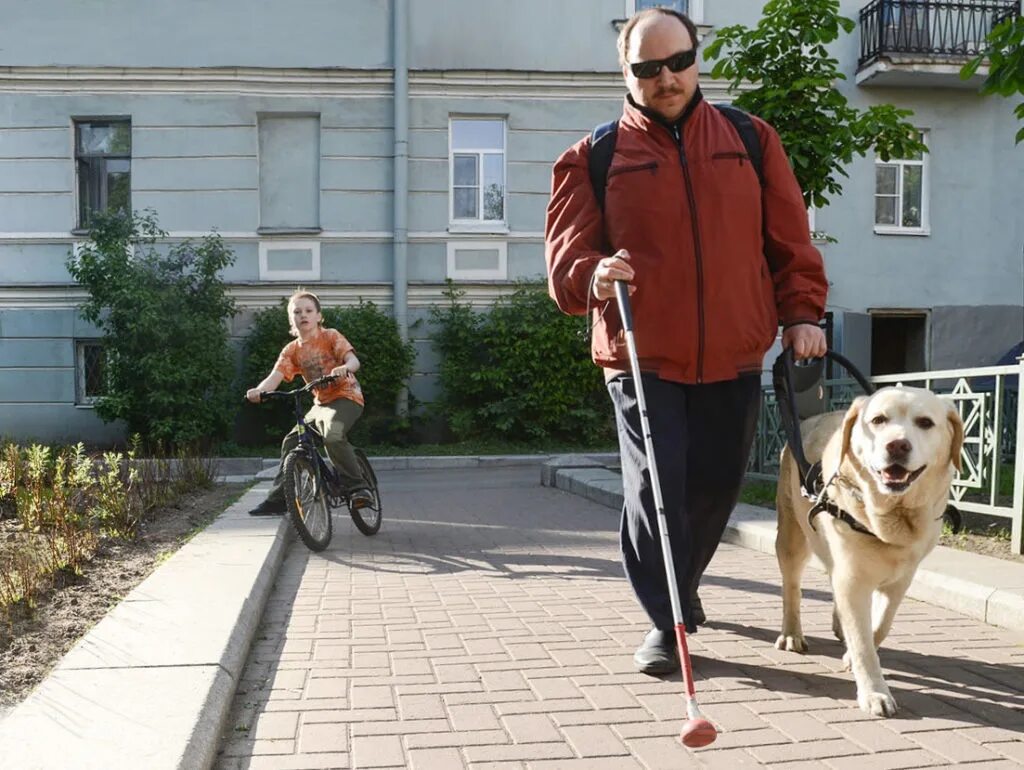 Великие слепые люди. Инвалиды по зрению. Инвалид с собакой поводырем. Слепые инвалиды. Белая трость.