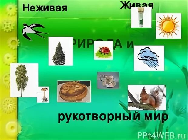 Ценности природы 3 класс окружающий мир
