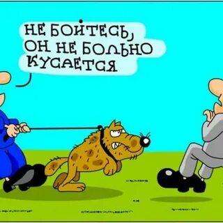 Выгул собак прикол (Много фото!) - pikselyi.ru