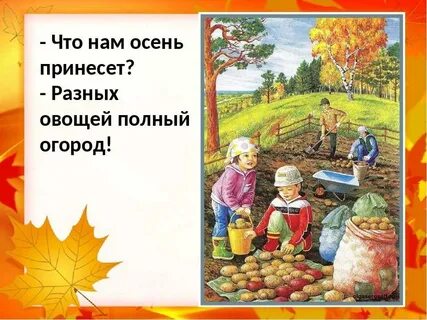 Окружающий мир дары осени старшая группа