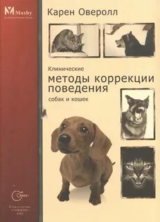 Коррекция поведения собаки