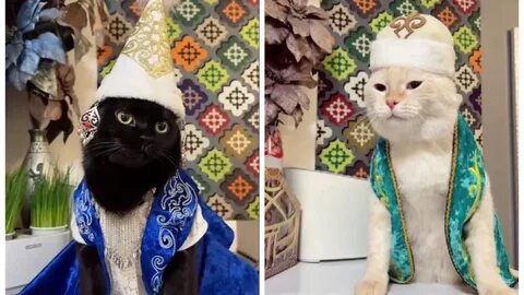 Виктория Боня жасырын камера секс